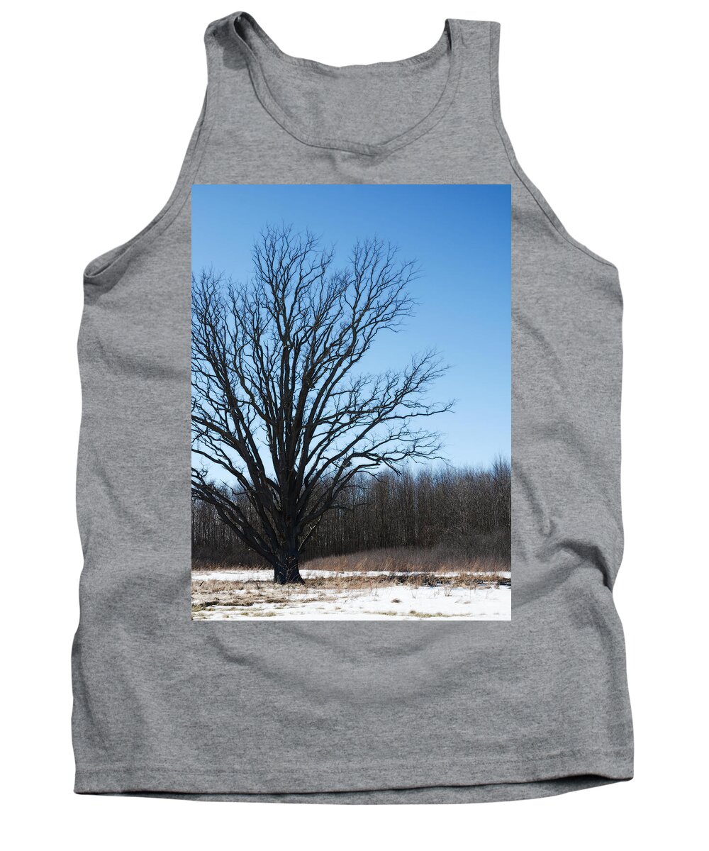 Winter Tree Tank Top featuring the photograph Winter tree by Tracy Winter