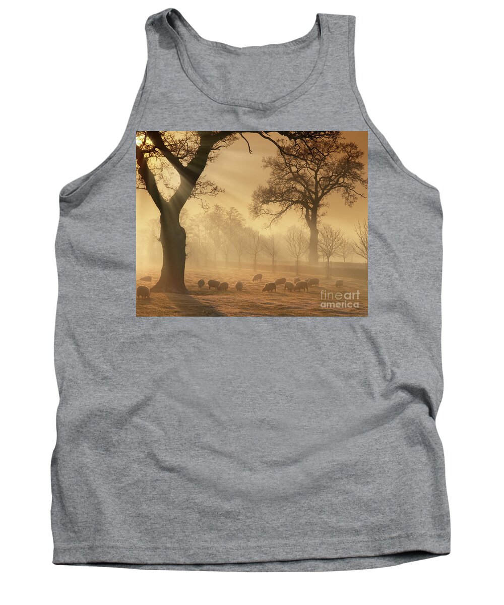 Warm Tank Top featuring the photograph Winter's Gold by Edmund Nagele FRPS