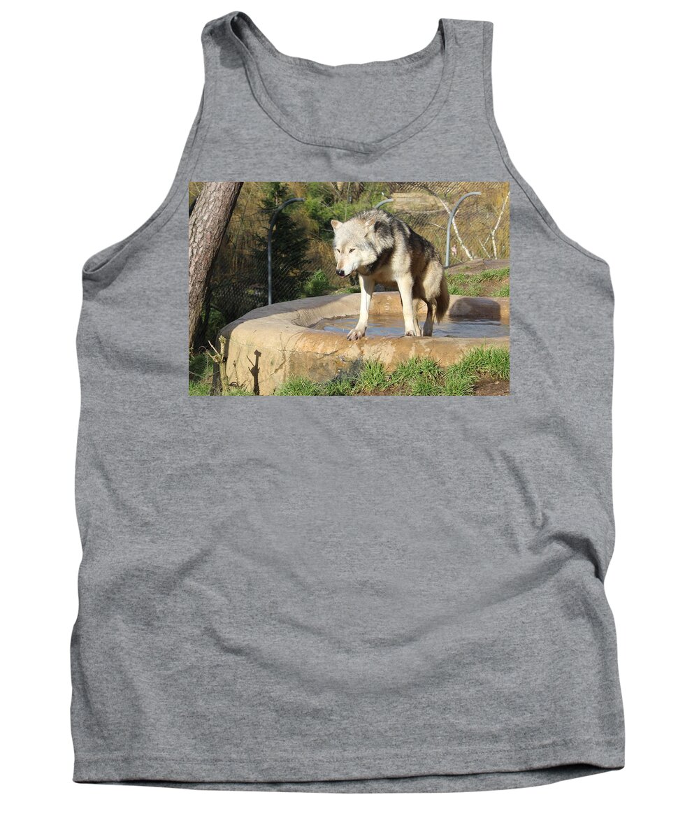Wolf Tank Top featuring the photograph Wolf by Sarah Qua