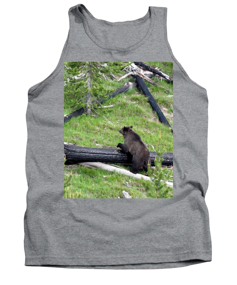Bear Tank Top featuring the photograph Yellowstone Grizzlies 3 by George Jones