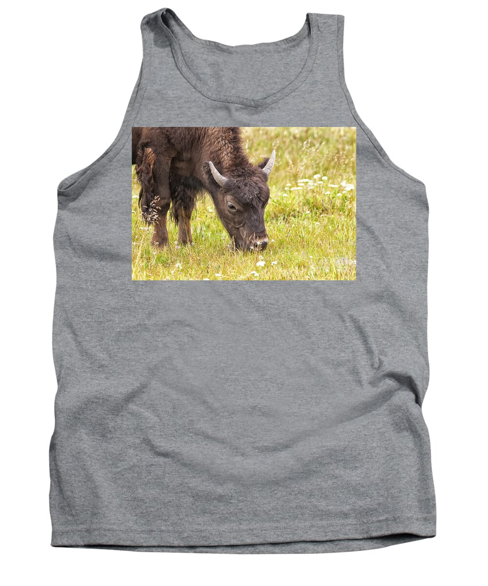 Nature Tank Top featuring the photograph Young Bison by Belinda Greb