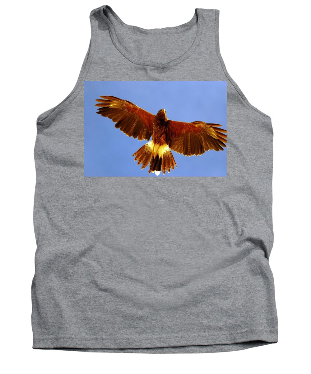 Harris Hawk Tank Top featuring the photograph Harris Hawk #6 by Tam Ryan