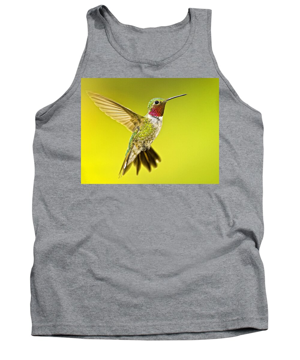 Bird Tank Top featuring the photograph Male Broad-tailed Hummingbird #1 by Fred J Lord