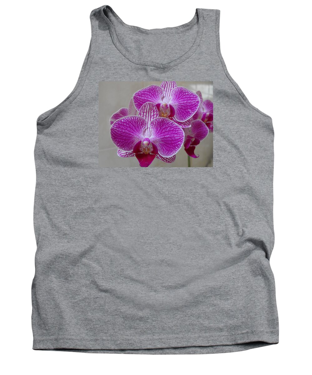 Phalaenopsis Orchid Tank Top featuring the photograph Phalaenopsis Orchid #2 by Marlene Challis