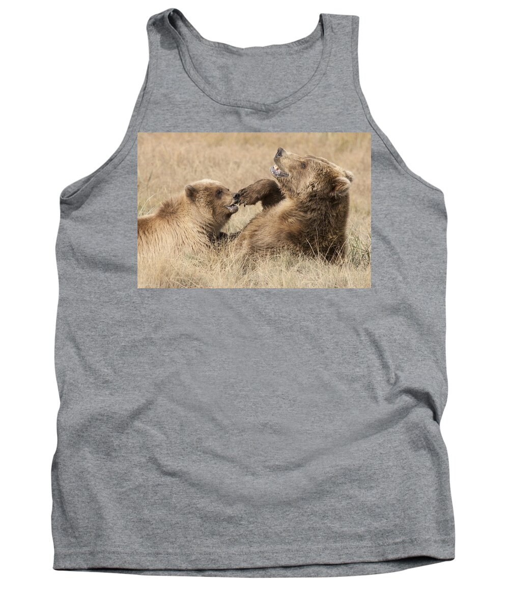 Mp Tank Top featuring the photograph Grizzly Bear Ursus Arctos Horribilis #10 by Matthias Breiter