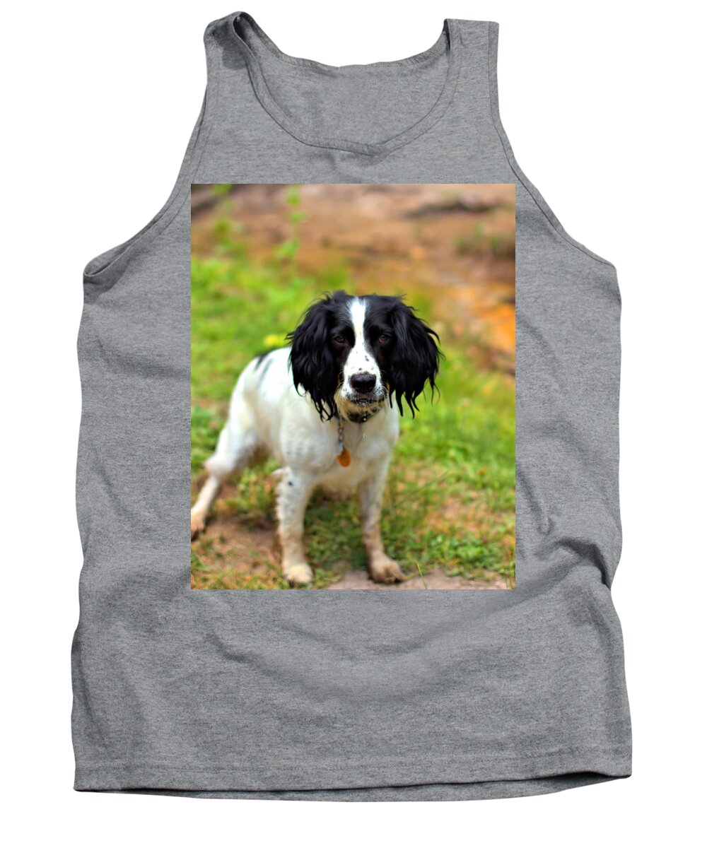Springer Spaniel Tank Top featuring the photograph Lady the Spaniel by Marlo Horne