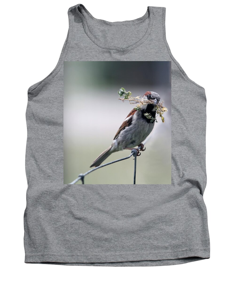 Sparrow Tank Top featuring the photograph A bird and a Twig by Elizabeth Winter