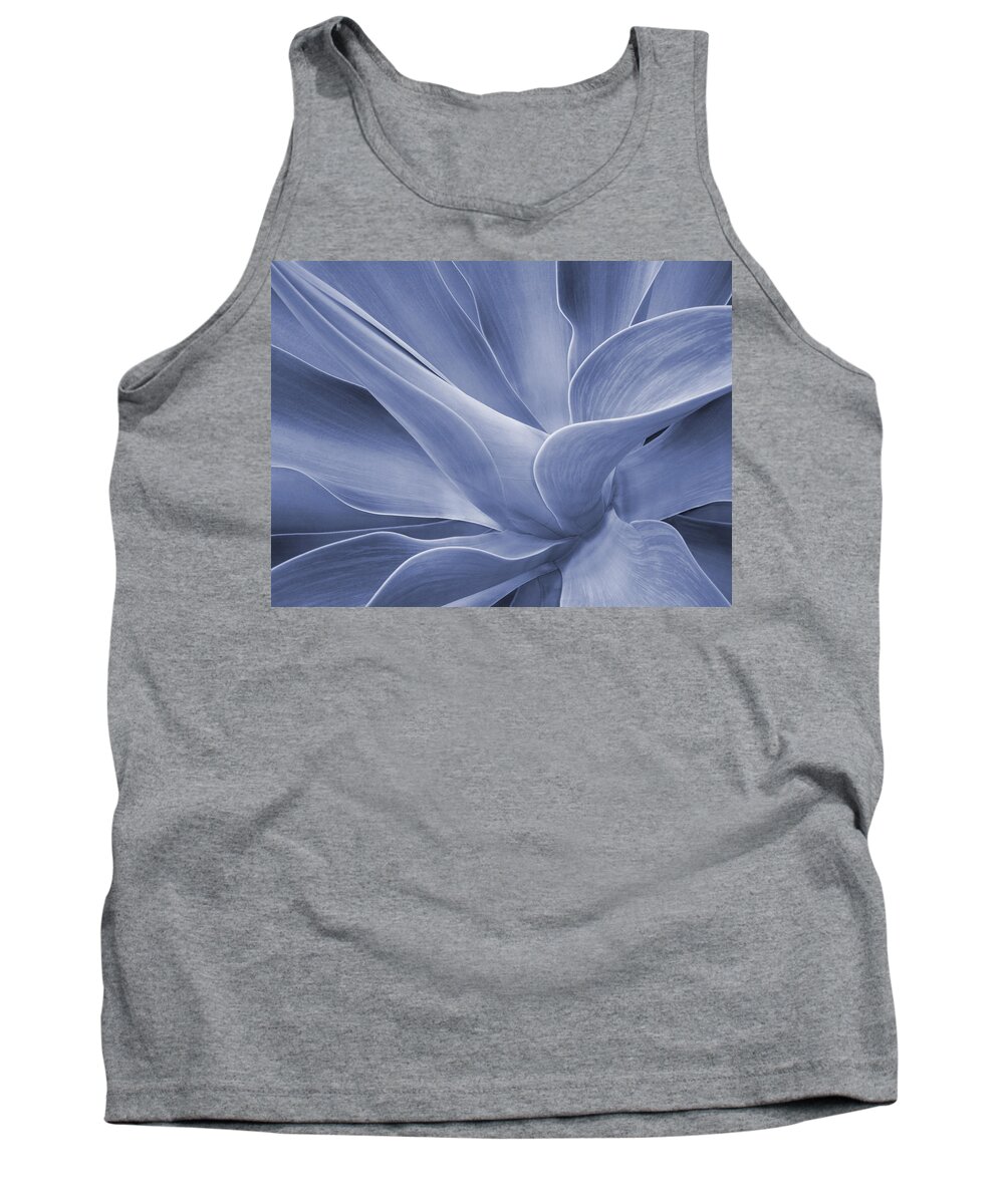 Agave Tank Top featuring the photograph Agave in Blue by Bel Menpes