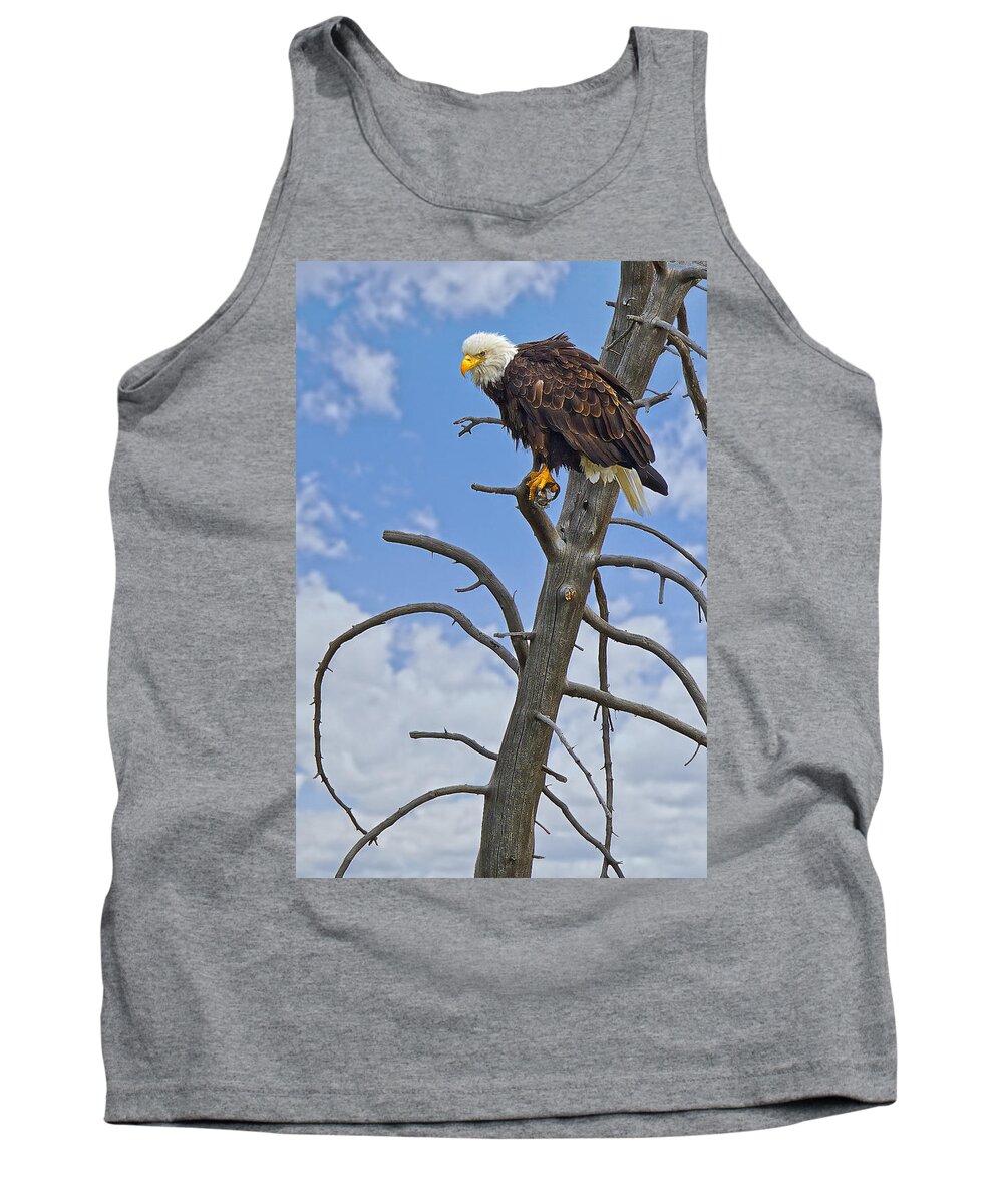 American Tank Top featuring the photograph American Bald Eagle in Yellowstone by Fred J Lord