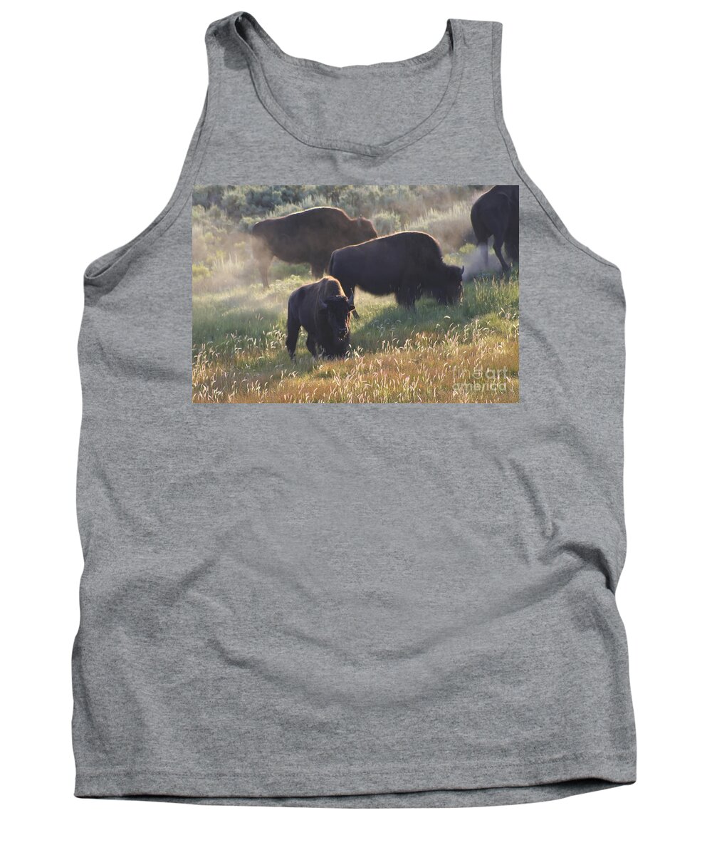 Animal Tank Top featuring the photograph American Bison in Yellowstone by Teresa Zieba