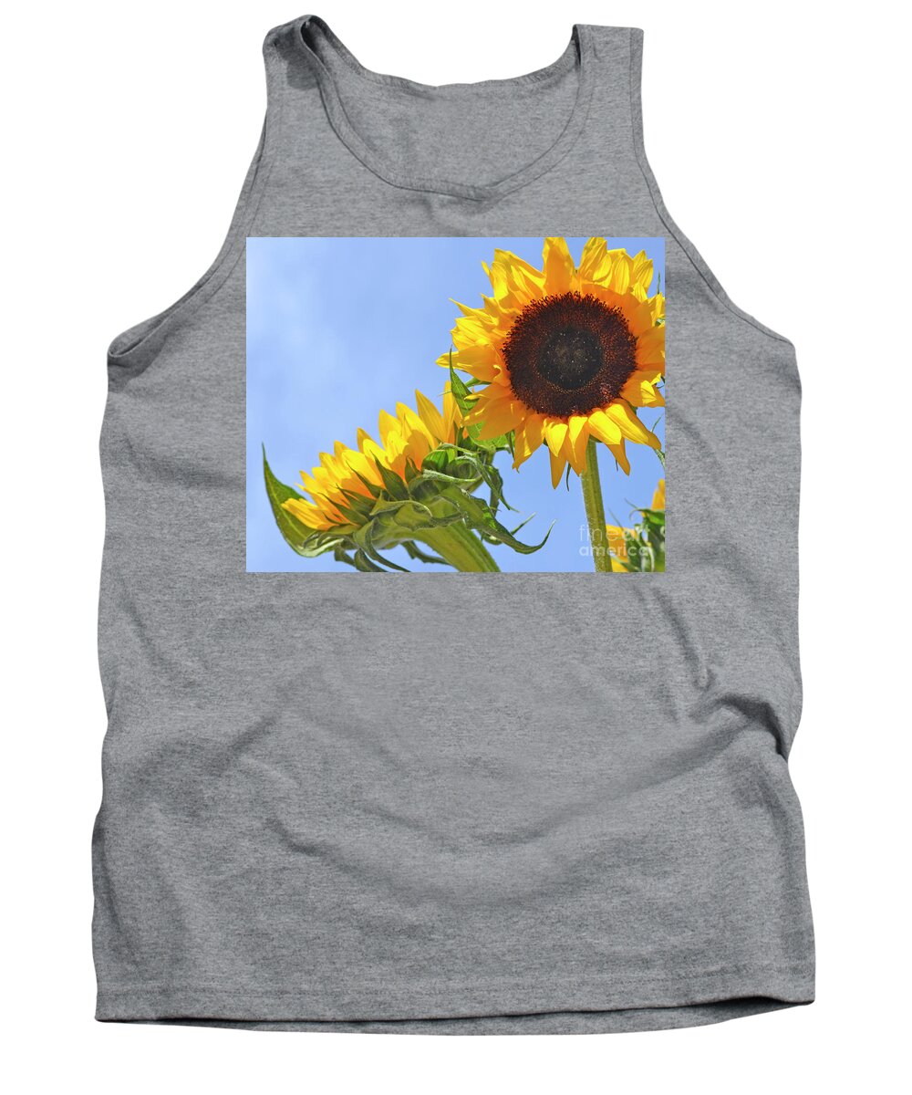 Sunflower Tank Top featuring the photograph August Sunshine by Traci Cottingham