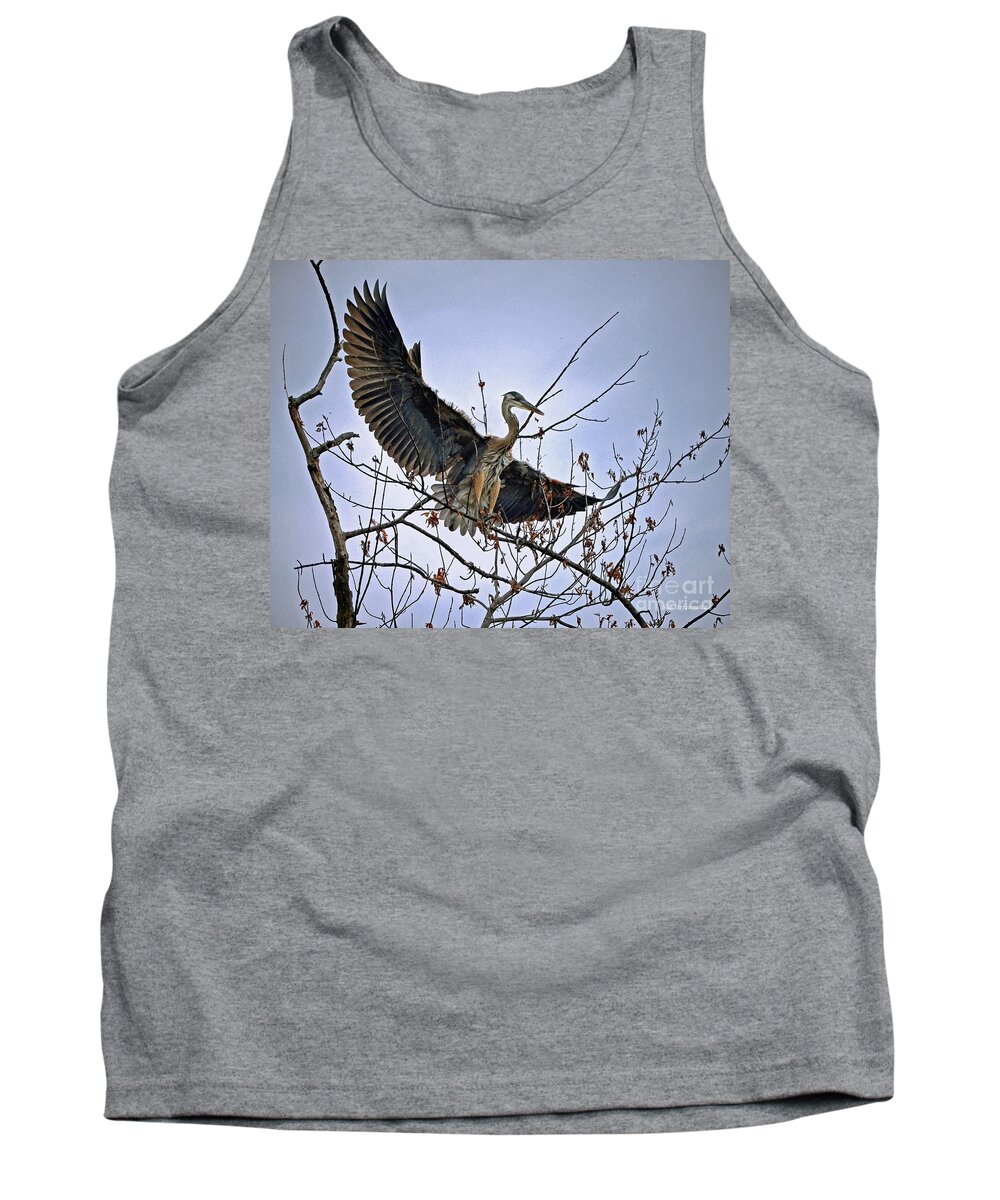 Color Photography Tank Top featuring the photograph Balance by Sue Stefanowicz