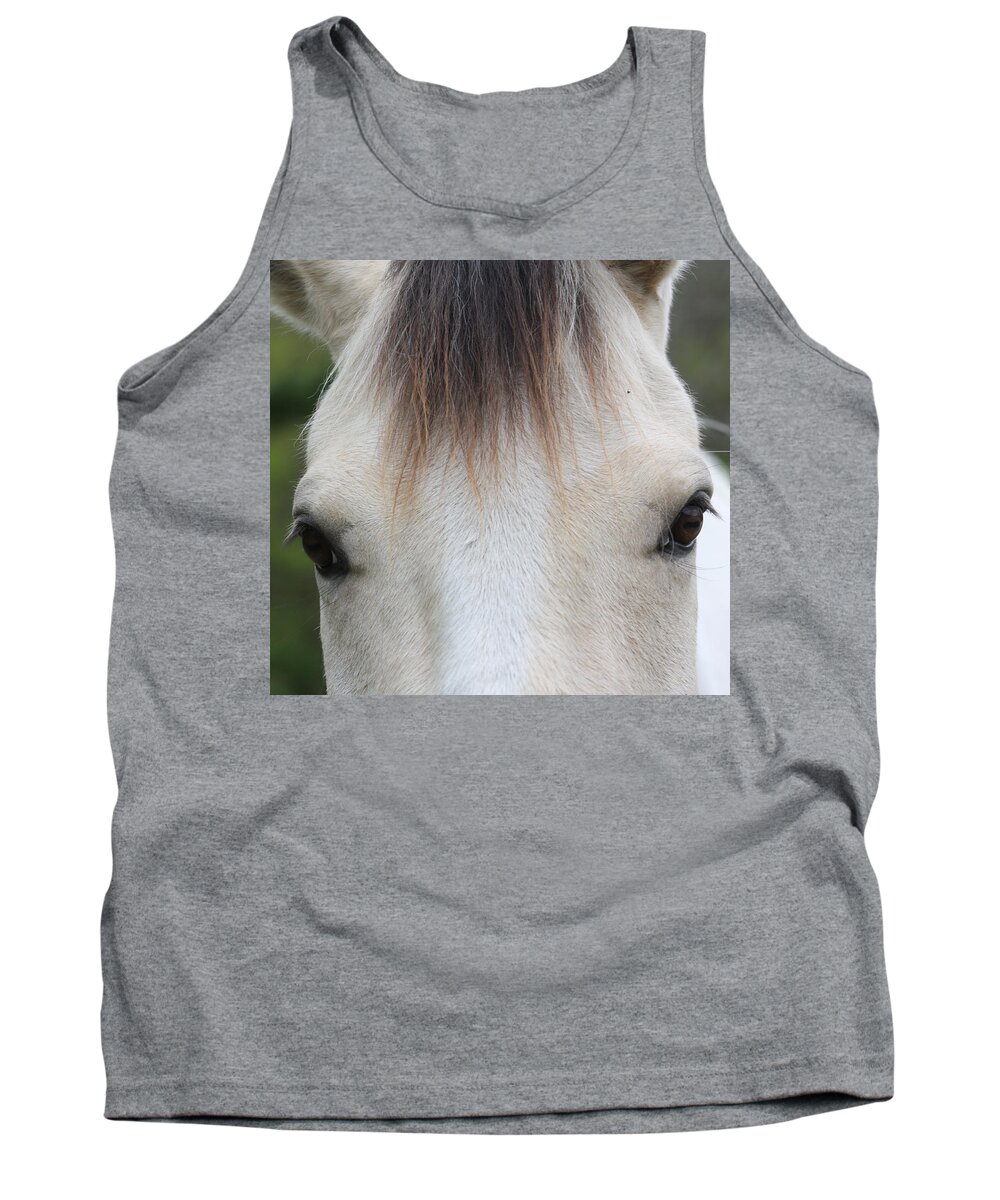 Horse Tank Top featuring the photograph Beauty In The Eyes by Kim Galluzzo