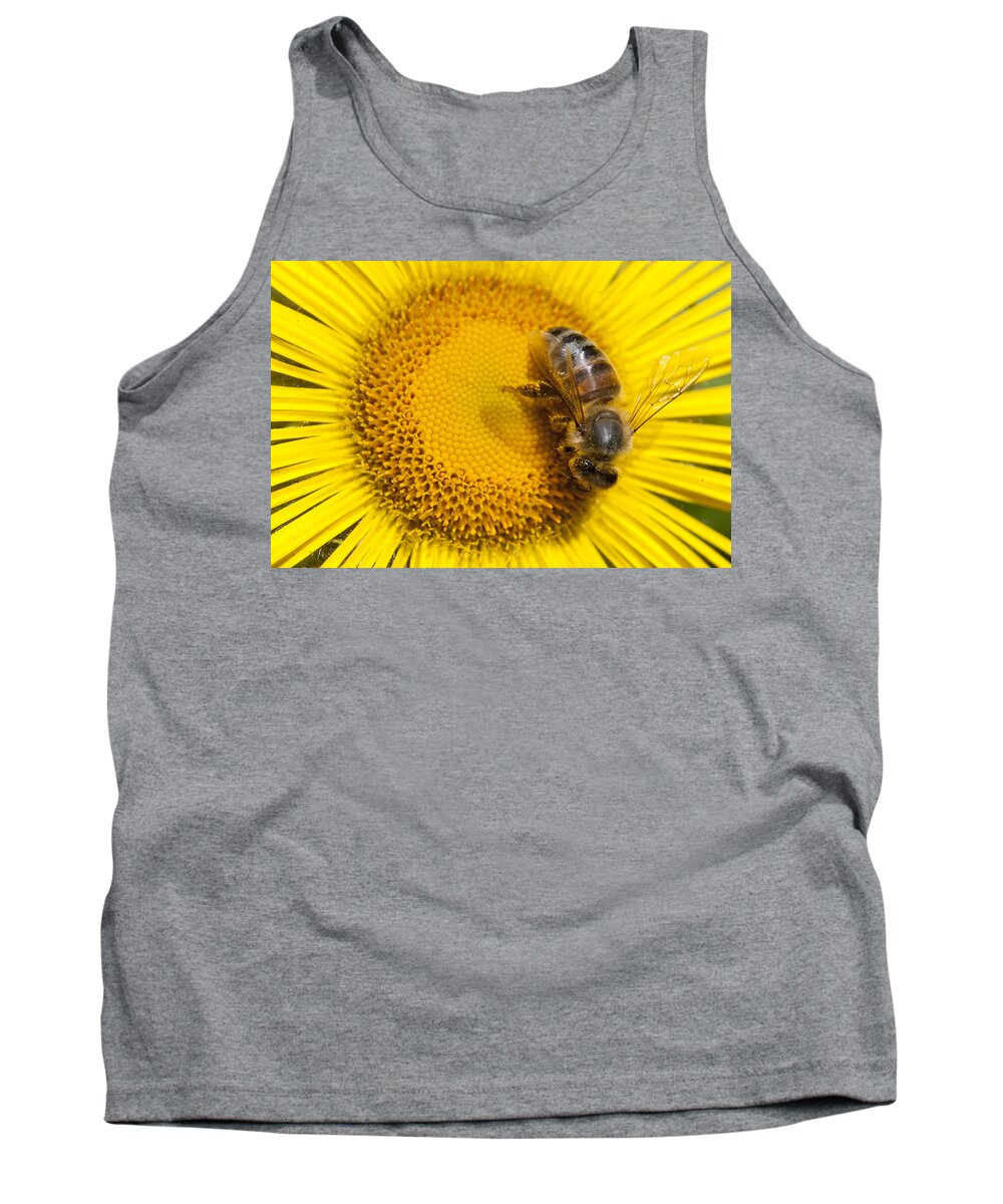Mp Tank Top featuring the photograph Bee Apidae On Alpine Sunflower by Matthias Breiter