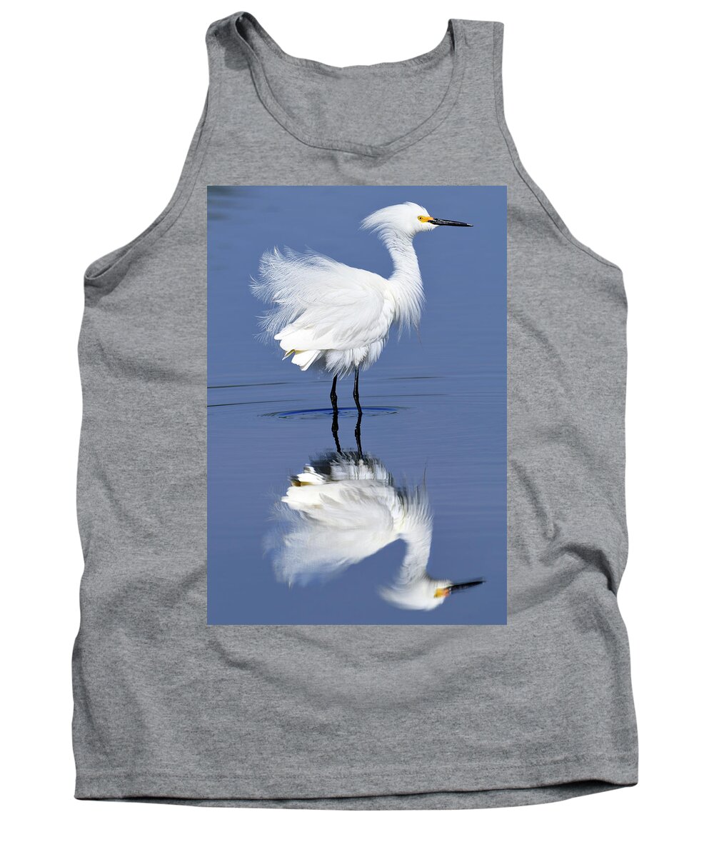 Snowy Tank Top featuring the photograph Blowing in the wind by Bill Dodsworth