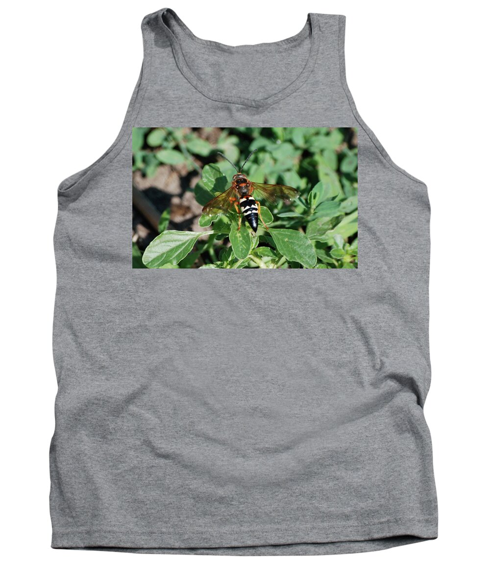 Cicada Tank Top featuring the photograph Break Time by Thomas Woolworth