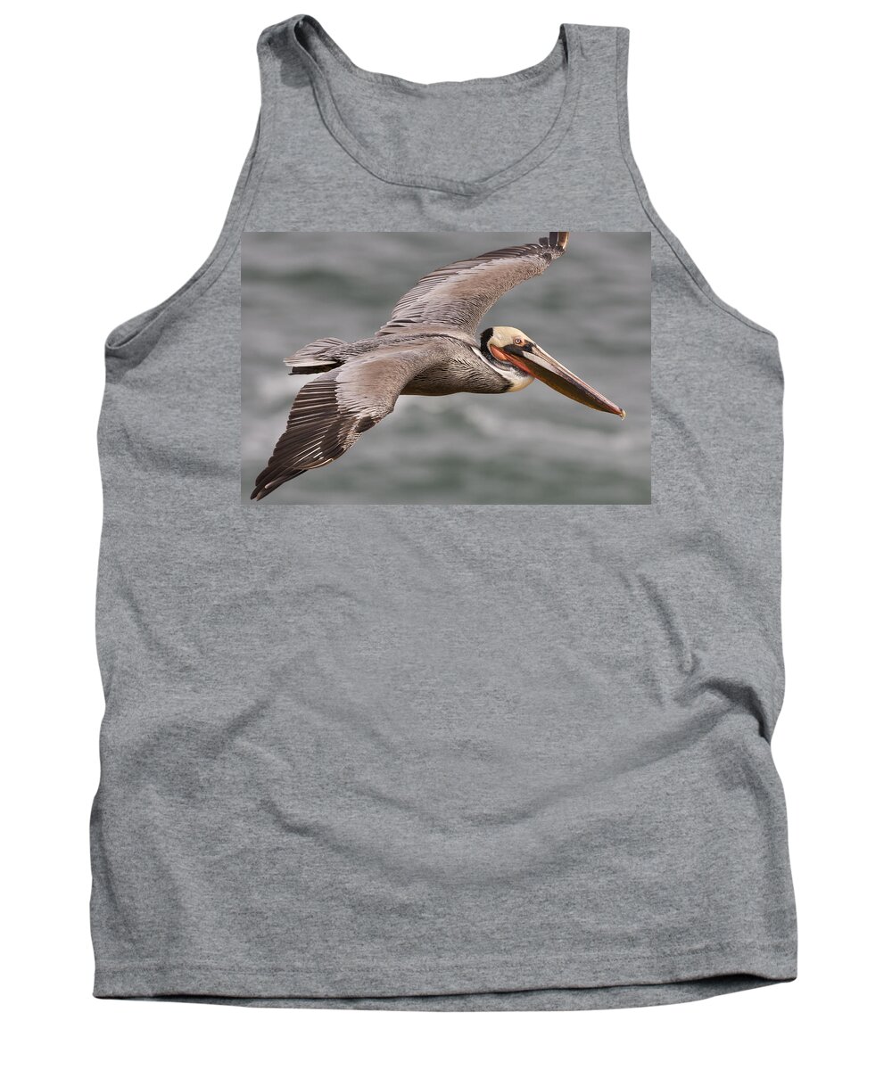 00429848 Tank Top featuring the photograph Brown Pelican In Breeding Plumage by Sebastian Kennerknecht