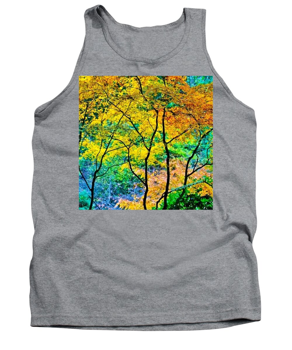 Fall Color Tank Top featuring the photograph Canopy of Life by Anna Porter
