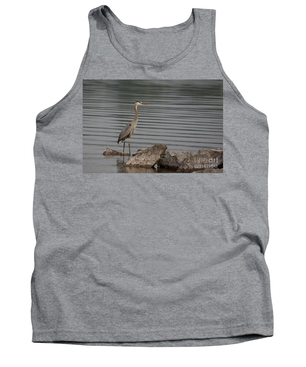 Heron Tank Top featuring the photograph Cautious by Eunice Gibb