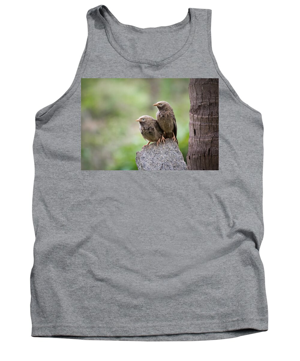 Yellow-billed Babbler Tank Top featuring the photograph Couple by SAURAVphoto Online Store