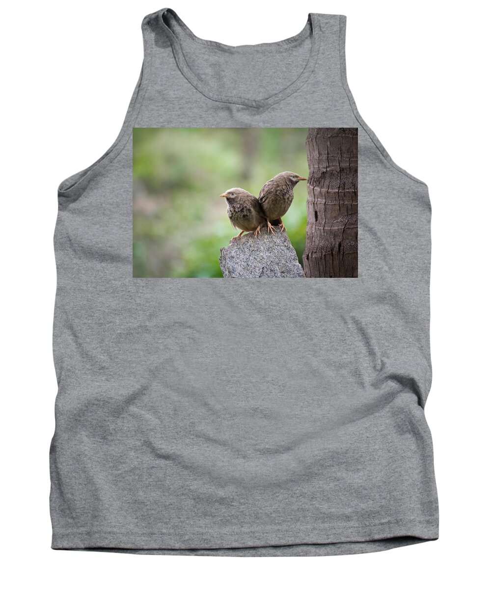 Divergent Tank Top featuring the photograph Divergent by SAURAVphoto Online Store