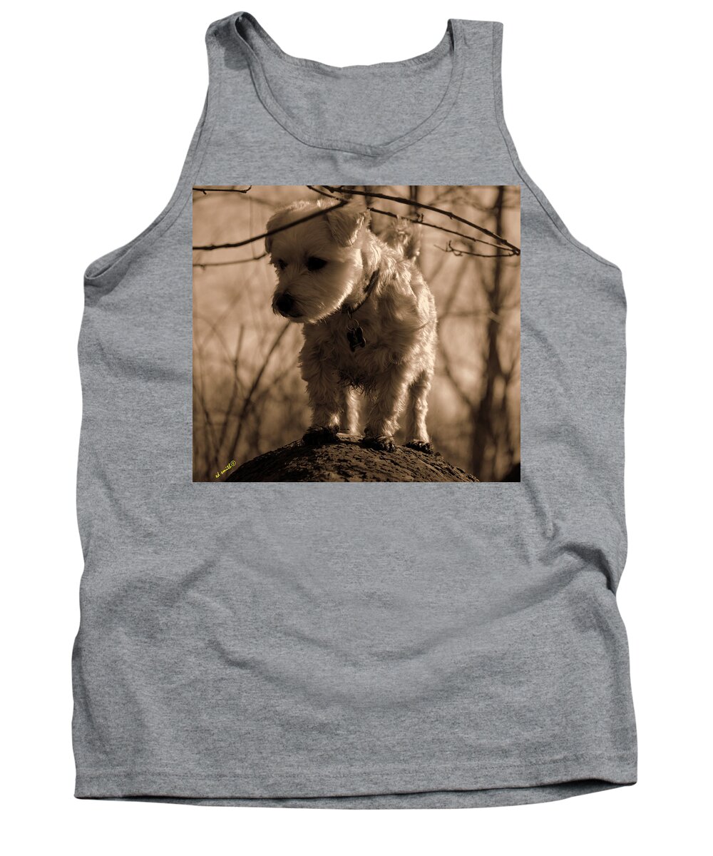 Domesticated Giant Tree Squirrel Tank Top featuring the photograph Domesticated Giant Tree Squirrel by Edward Smith