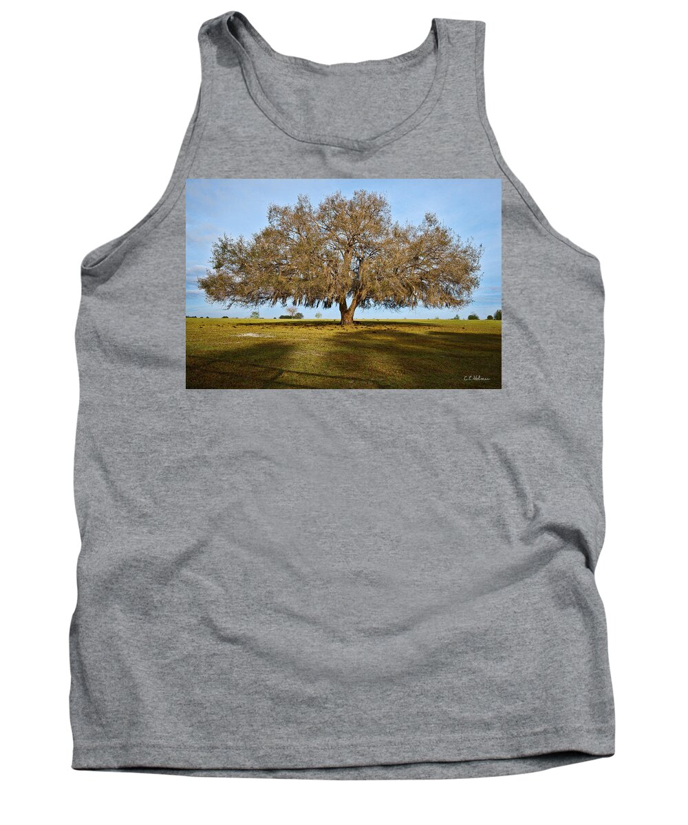 Oak Tank Top featuring the photograph Early Morning Oak by Christopher Holmes