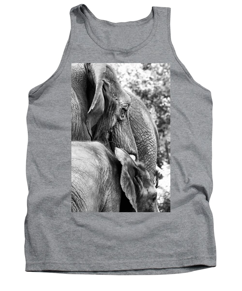 African Elephant Tank Top featuring the photograph Elephant Ears by Angela Rath