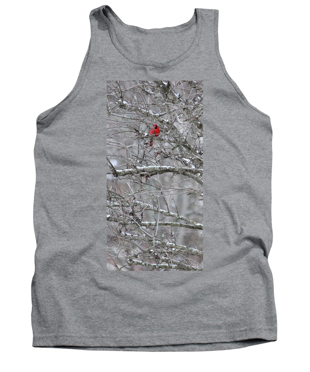 Snow Tank Top featuring the photograph First Snow Fall by Kume Bryant