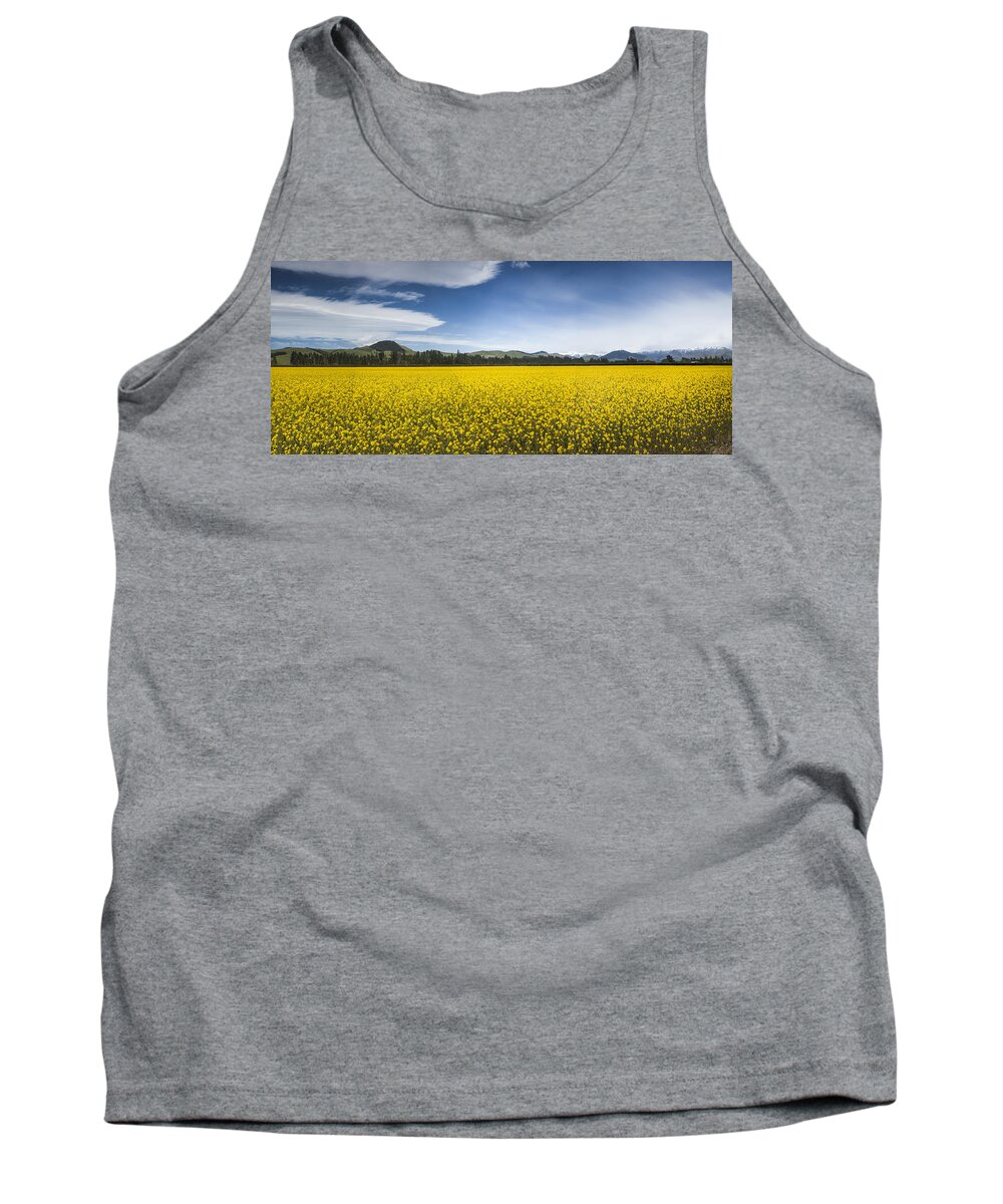 00498847 Tank Top featuring the photograph Flowering Mustard Crop In Canterbury by Colin Monteath