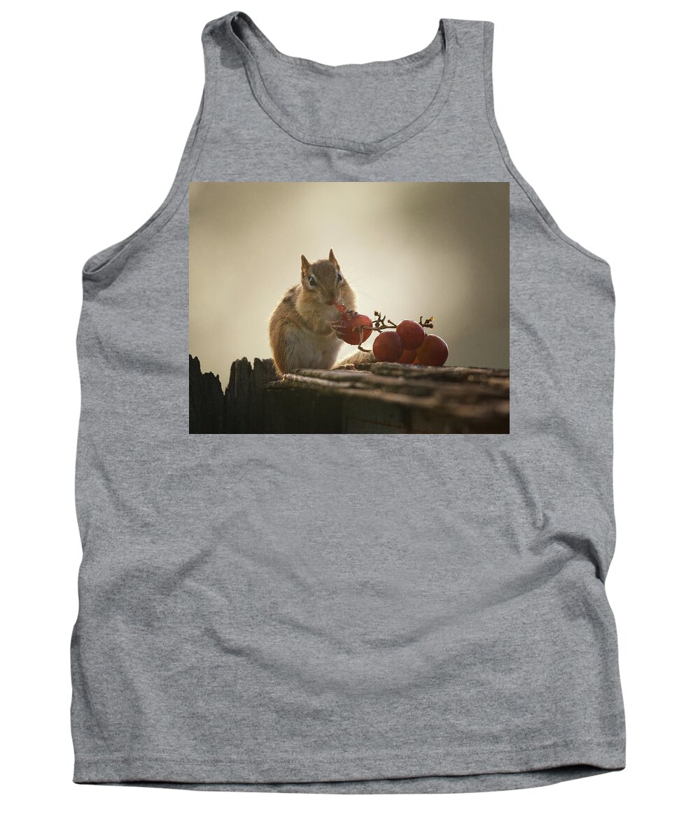 Chipmunk Tank Top featuring the photograph Fruit of the Vine by Sue Capuano