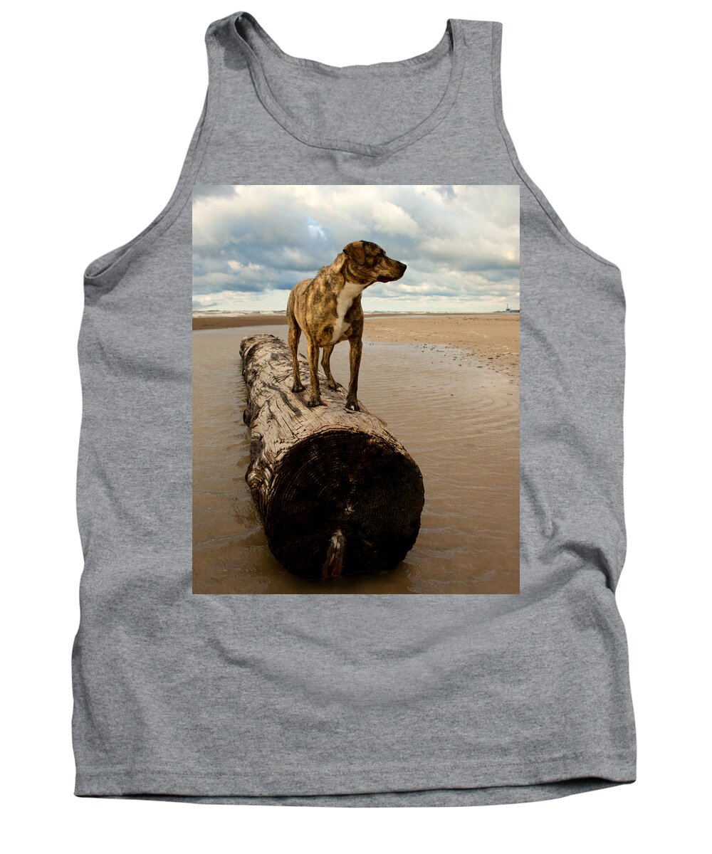 Dog Tank Top featuring the photograph Gazing Into The Unknown by Scott Wood