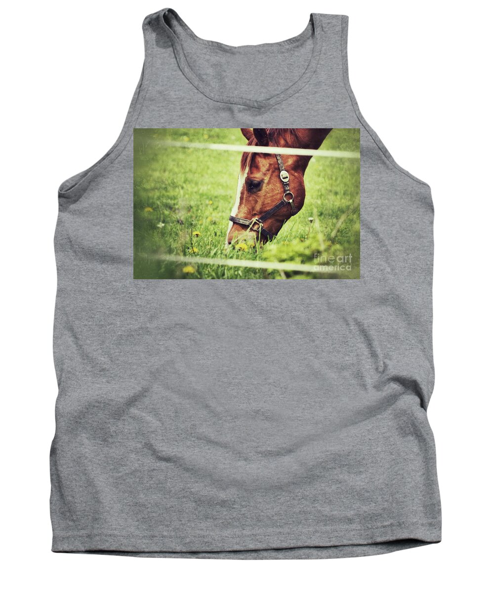 Horse Tank Top featuring the photograph Grazing by Traci Cottingham