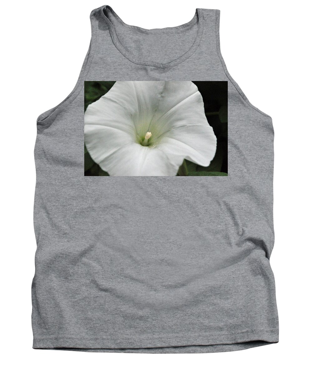 Floral Tank Top featuring the photograph Hedge Morning Glory by Tikvah's Hope