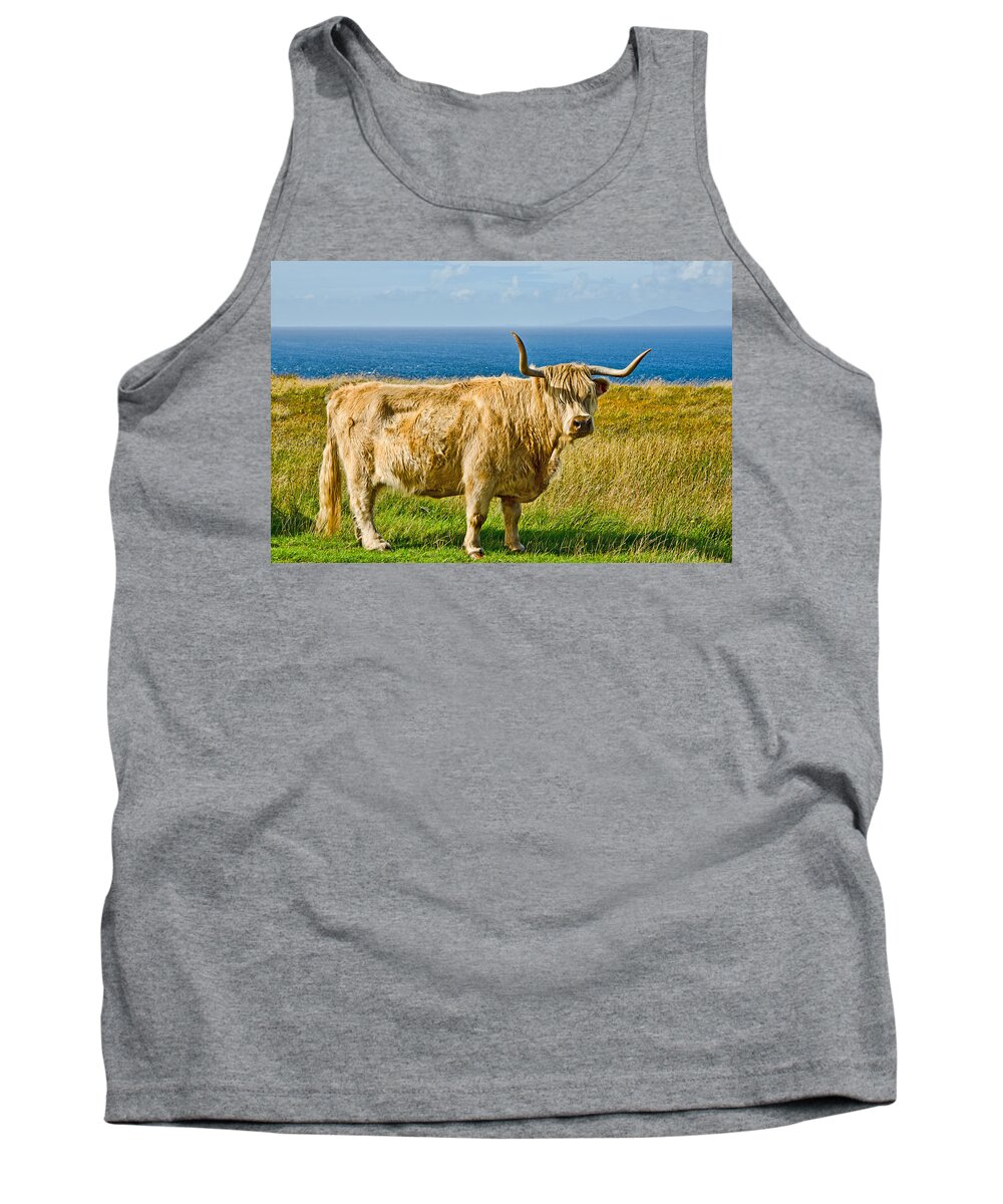 Highland Cow Tank Top featuring the photograph Highland Cow by Chris Thaxter