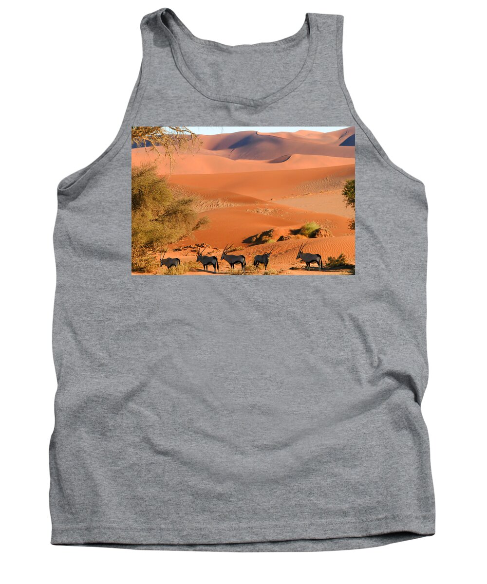 Antelope Tank Top featuring the photograph In the shade by Alistair Lyne