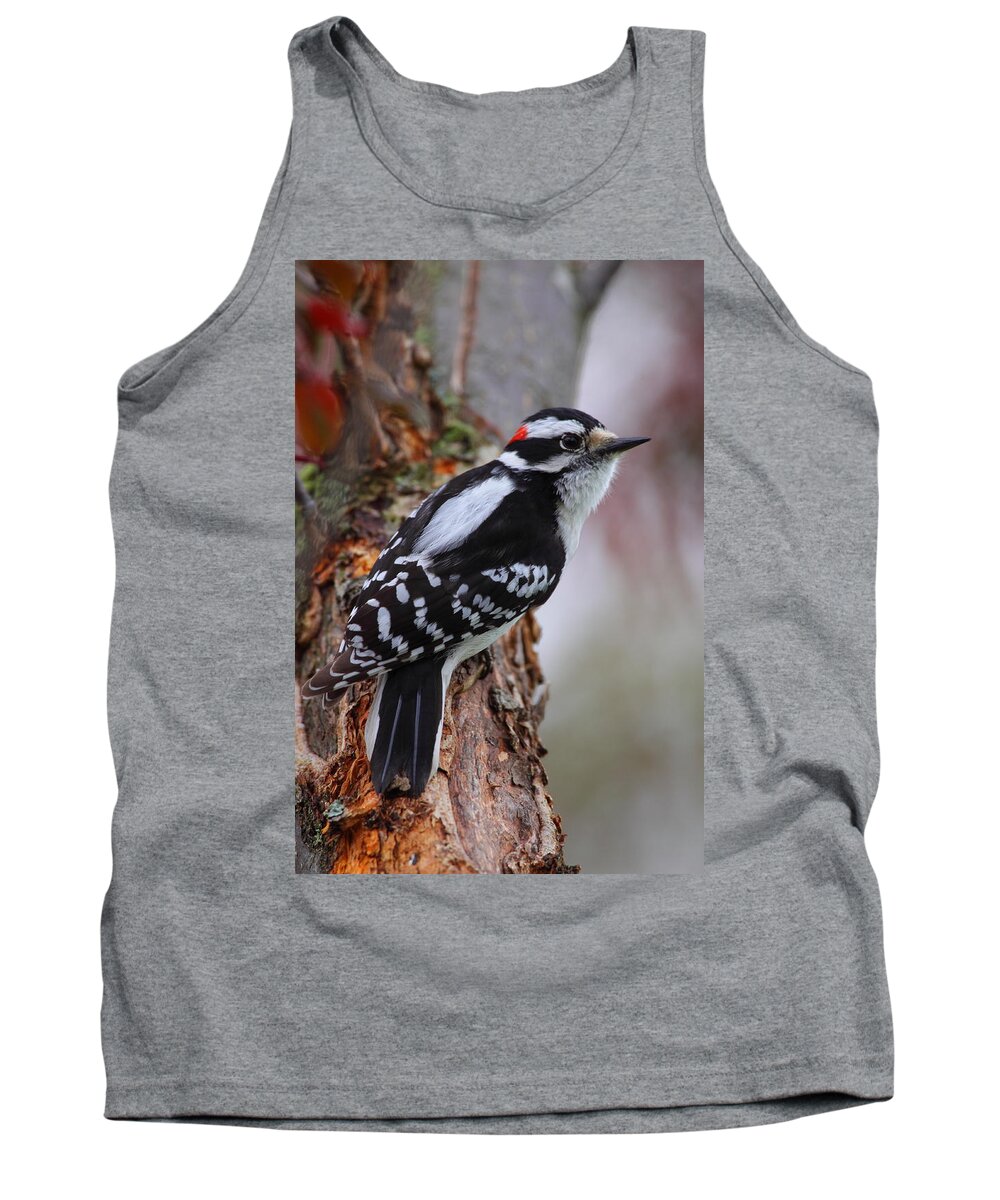 Woodpecker Tank Top featuring the photograph Male Downy Woodpecker by Bruce J Robinson