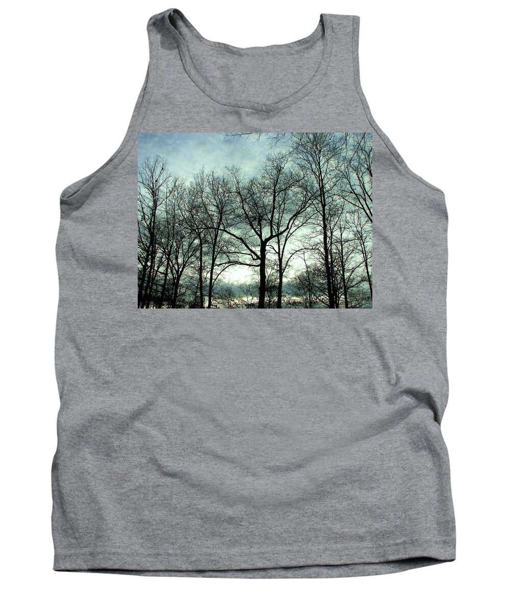 Trees Tank Top featuring the photograph Mirage in the Clouds by Pamela Hyde Wilson