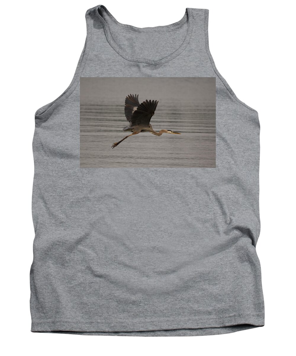 Heron Tank Top featuring the photograph Morning flight by Eunice Gibb