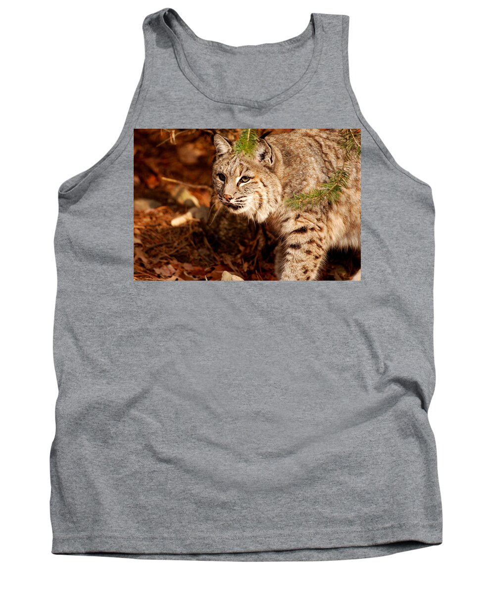 Bobcat Tank Top featuring the photograph Mr. Whiskers by Lori Tambakis