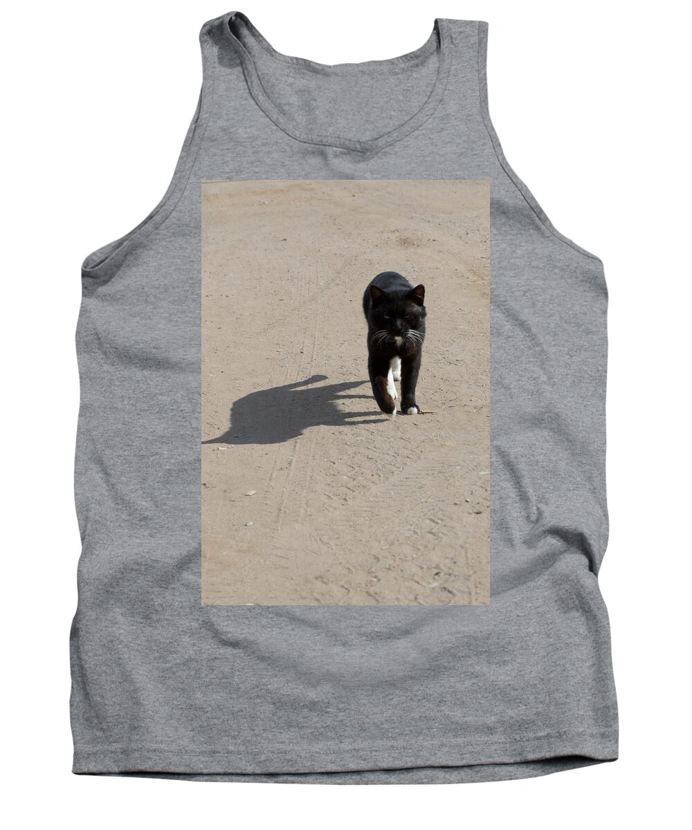 Cat Tank Top featuring the photograph Owner by Michael Goyberg
