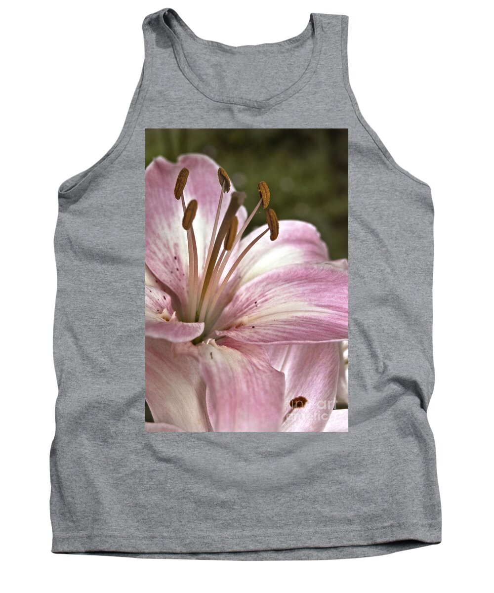 Agriculture Tank Top featuring the photograph Pink Asiatic Lily by Danielle Summa