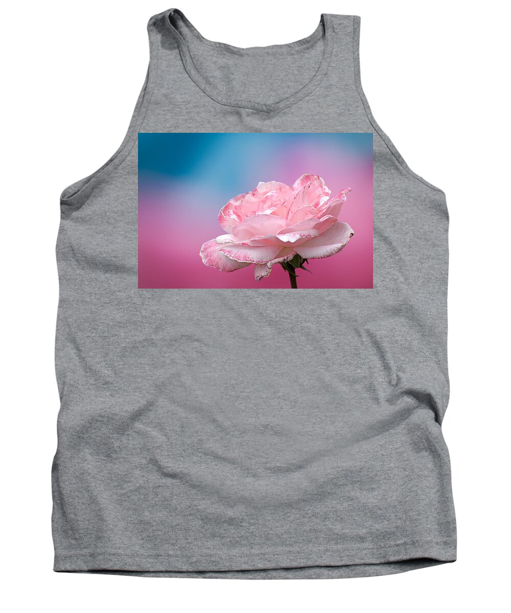 Pink Rose With Blue And Pink Background Tank Top featuring the photograph Pink Rose by Randall Branham