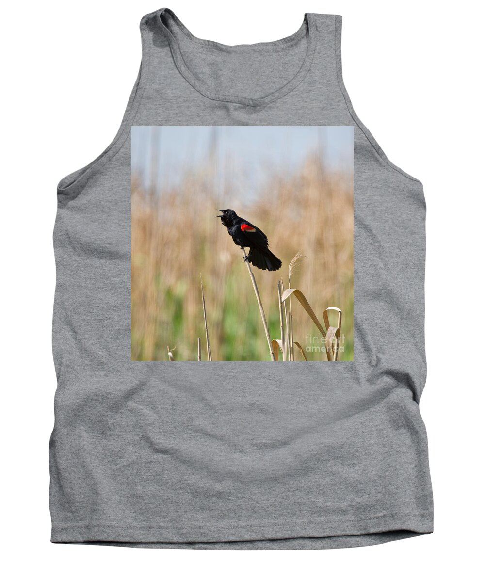 Red Winged Blackbird Tank Top featuring the photograph Red-winged Blackbird by Louise Heusinkveld