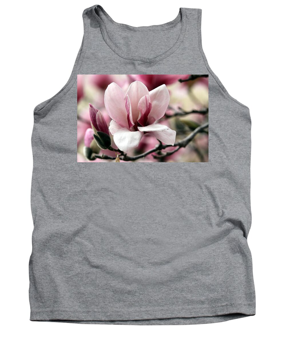 Magnolia Bloom Tank Top featuring the photograph Sweet Magnolia by Elizabeth Winter