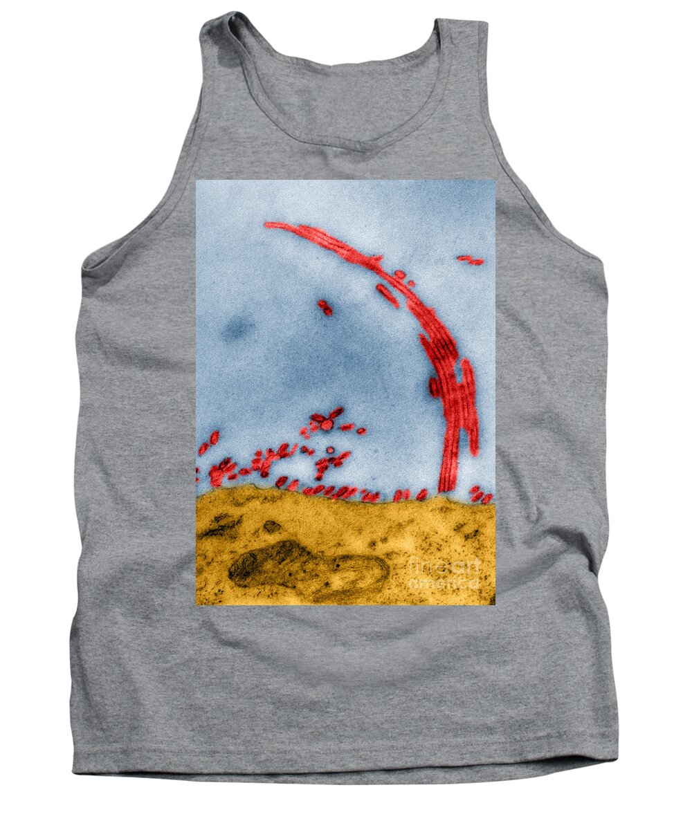 Tem Tank Top featuring the photograph Tem Of Influenza Virus by Science Source