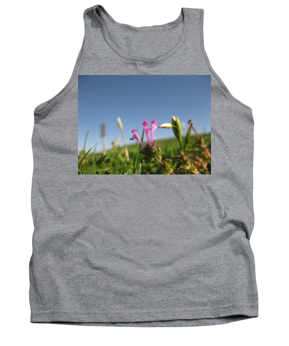 Purple Wildflowers Texas Blue Sky Flower Pink Tank Top featuring the photograph They Might Be Flowers by Cindy Clements