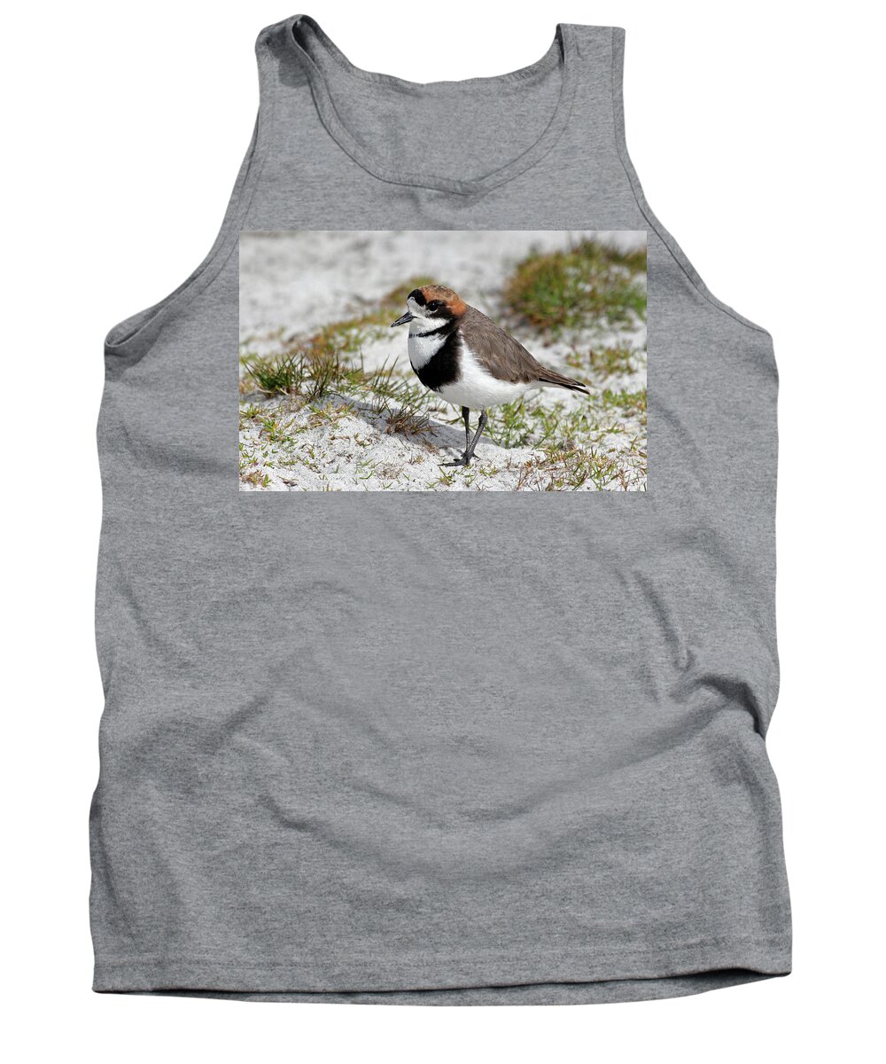 Flpa Tank Top featuring the photograph Two-banded Plover Charadrius by Martin Withers
