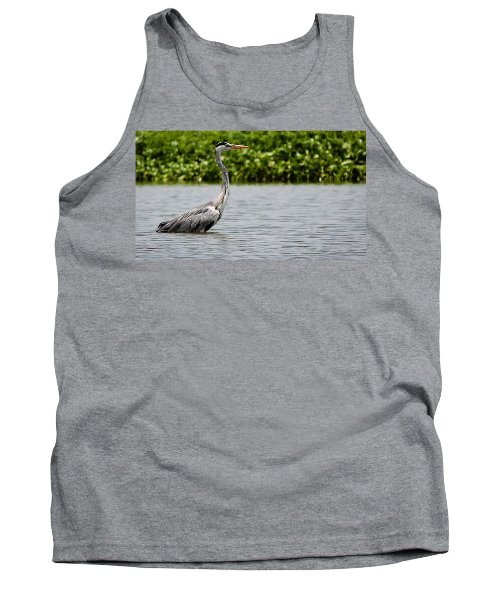 Grey Heron Tank Top featuring the photograph Wading by SAURAVphoto Online Store