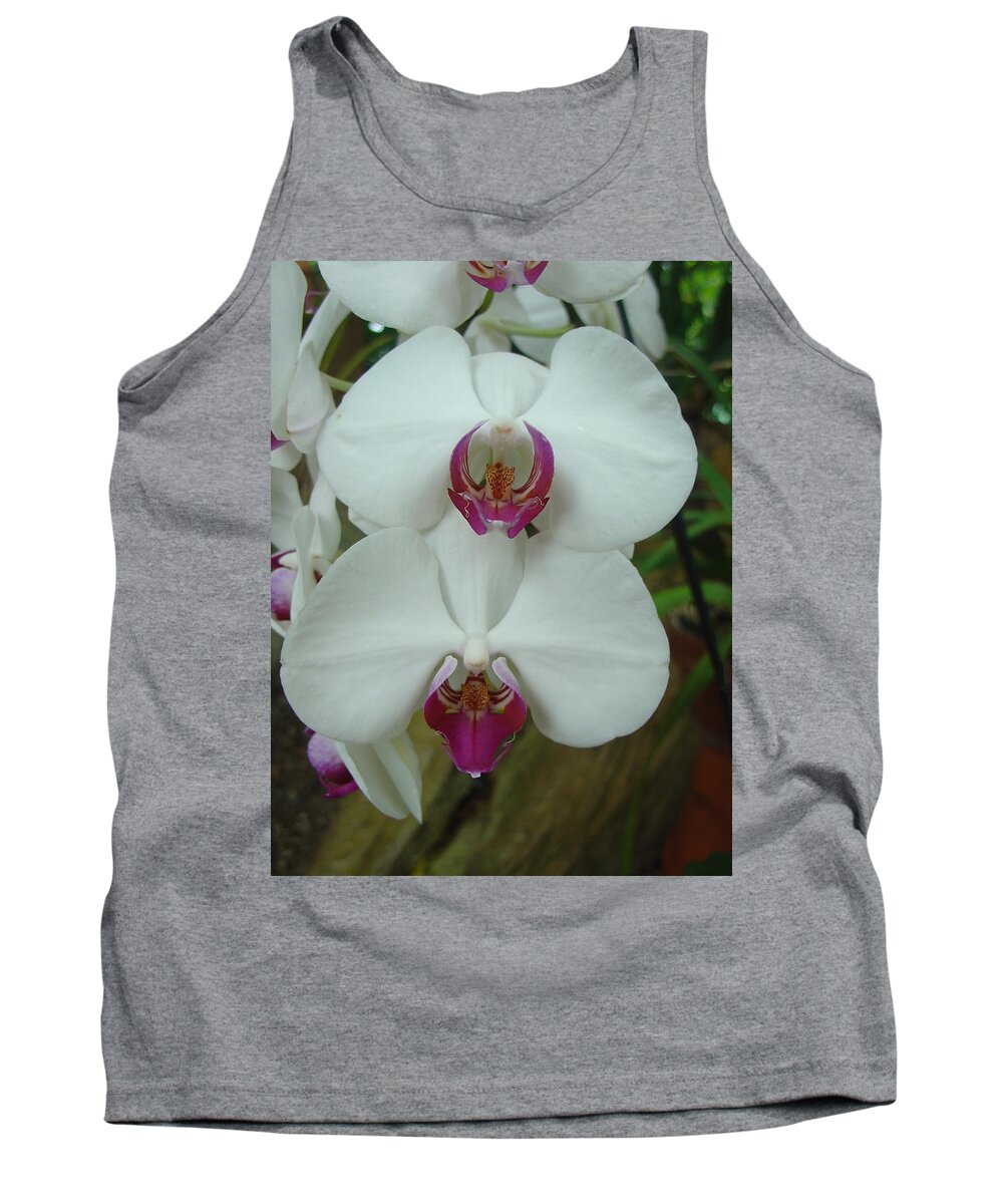 Orchid Tank Top featuring the photograph White Orchid by Charles and Melisa Morrison